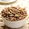 Chinese Suppliers Healthy Roasted Dried Pine Nuts Kernel