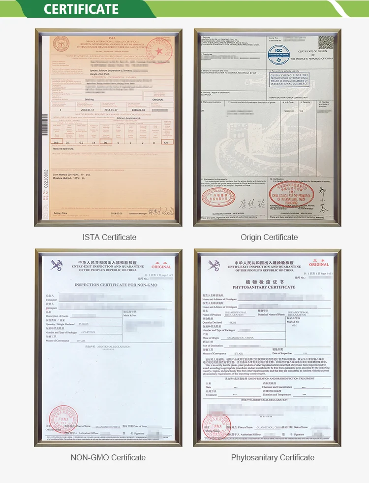 04certificate