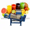 China Industrial High Quality Lemon Squeezer equipment