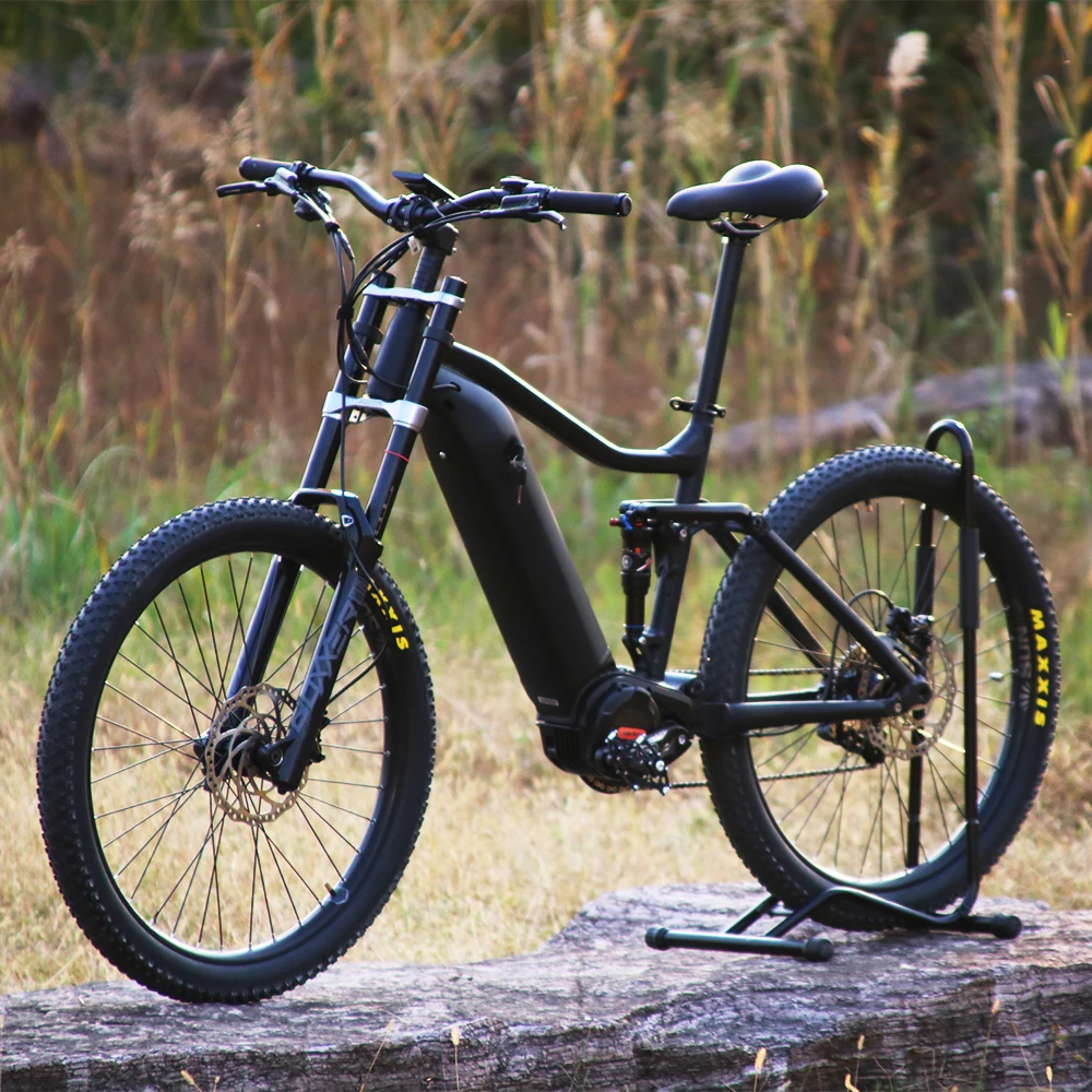 1000 watt electric bike