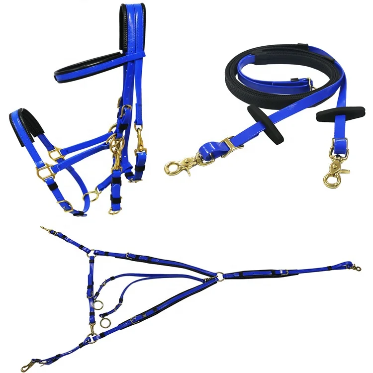 Horse Racing Equipment Endurance Bridle Rein And Breastplate Buy