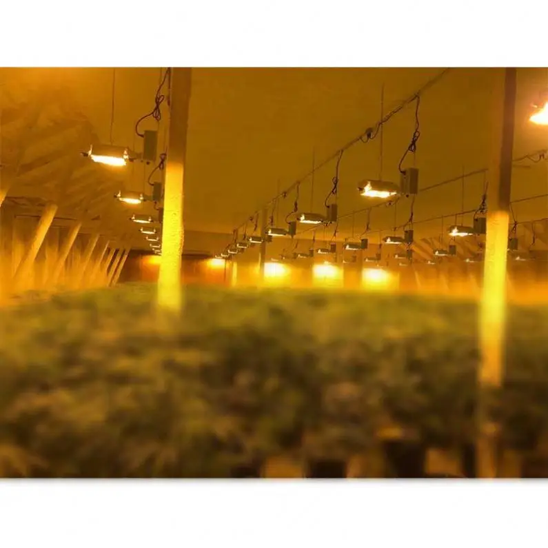 Hydroponics Plants Grow Lamp 1000W DE HPS Grow Light for Indoor Growing