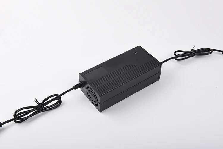 Latest Design Promotional Battery Lithium Ion Charger Lithium Ion Battery Fast Charger