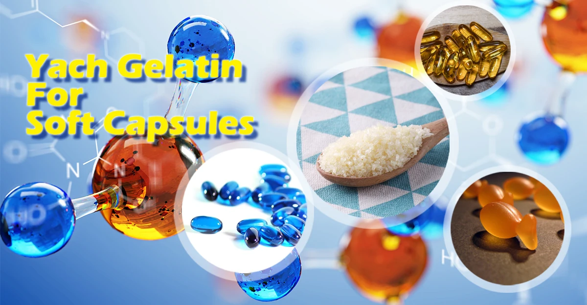 Medical Grade Bovine Bone Halal Gelatin for Hard Empty Capsule