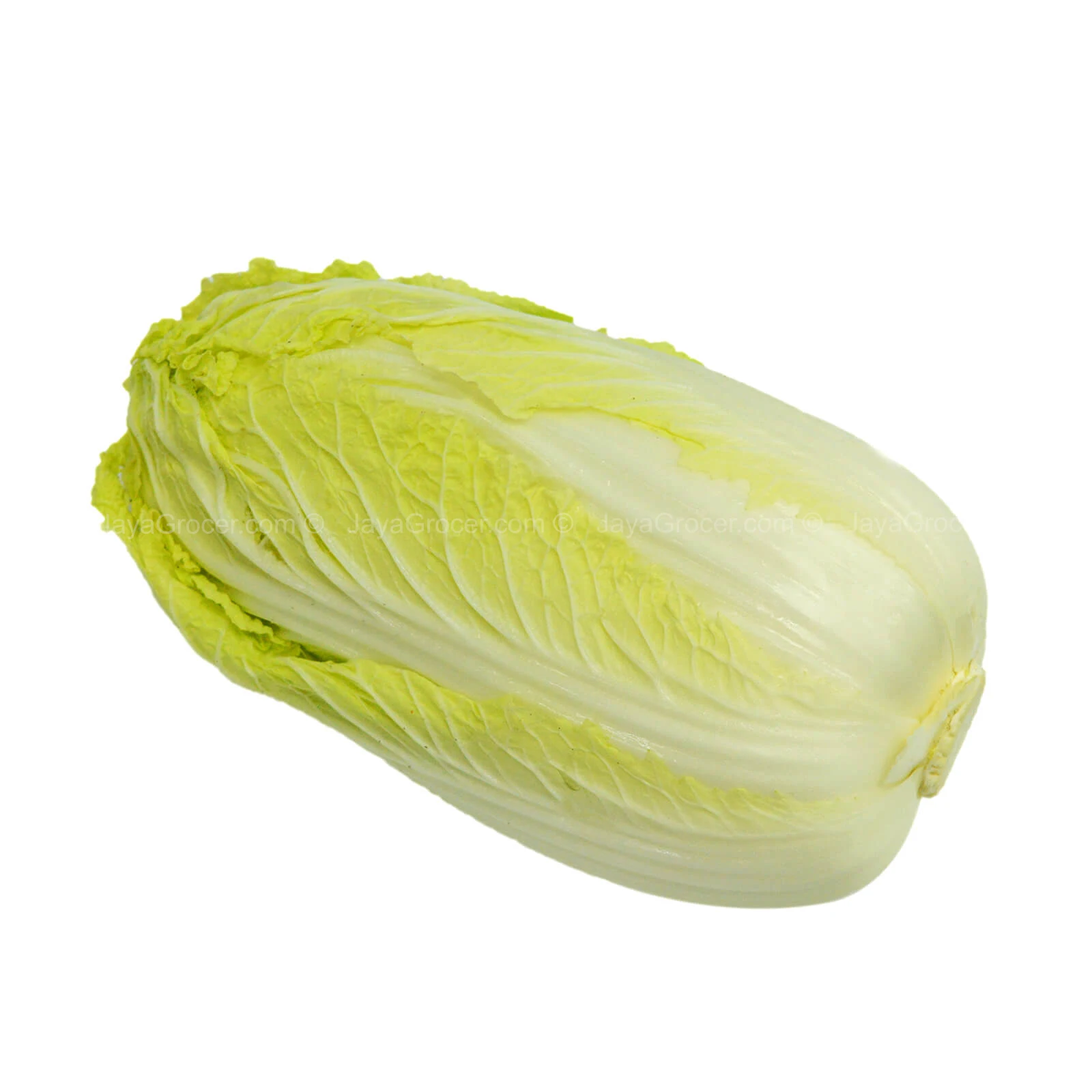High Quality New Harvest Fresh 2020 Chinese Baby Cabbage Buy Cabbage