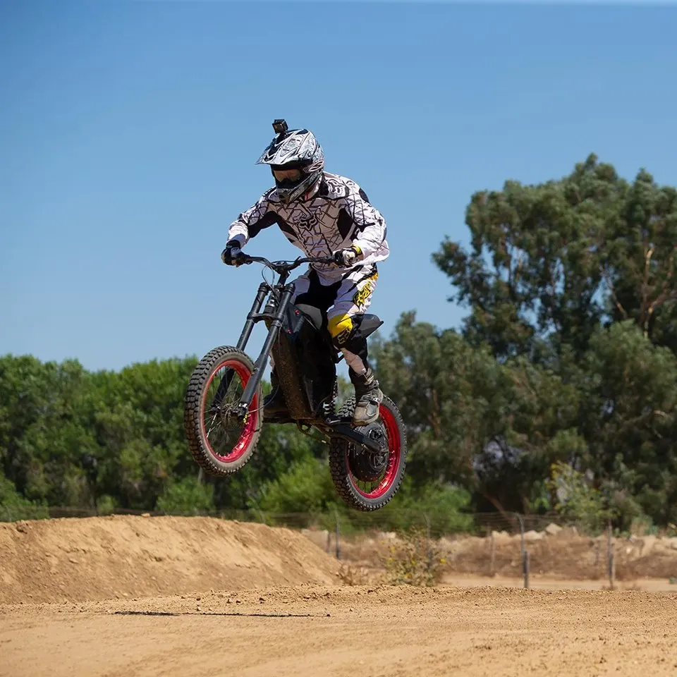 motorcycle style ebike