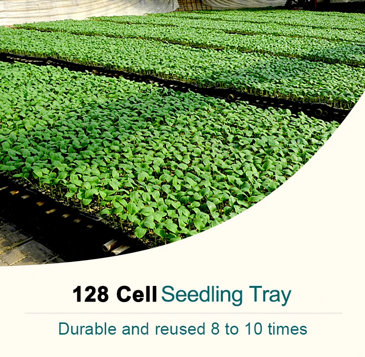 128 cell plug tray black plant rice seedling tray for seed