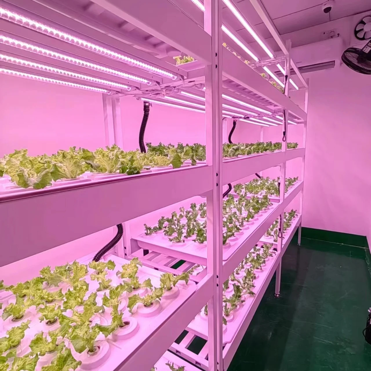 Indoor Vertical Intelligent Led Agricultural Mobile Growing Shelves Indoor Farming System Grow