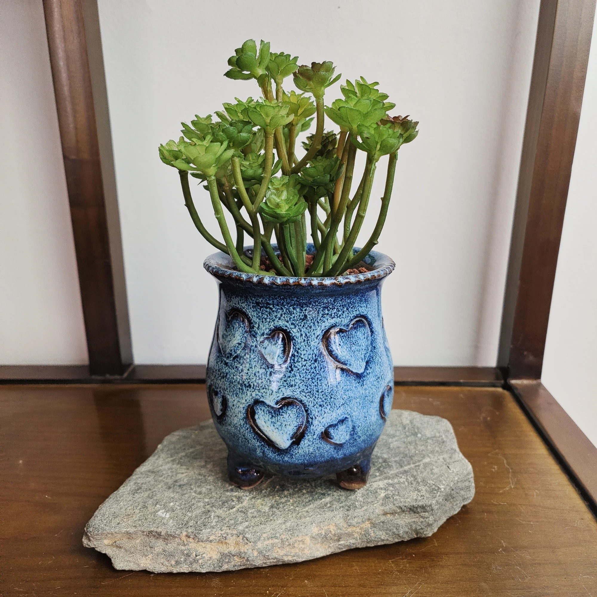 Custom Various Sizes Modern Glazed Succulent Planter Ceramic Plant Pots Indoor Flower Pot Buy