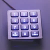Metal Matrix Keypad Security System Customized 12 Keys Stainless Steel Access Control System Digital Keypad Backlit Keypad IP65