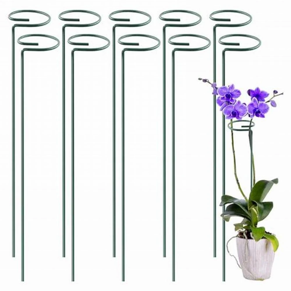 Metal Garden Plant Support Stakes Climbing Frame For Flowers Buy