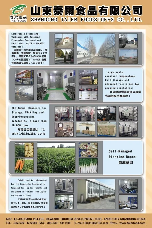 japanese style bulk seasoned pickled radish takuan for sushi