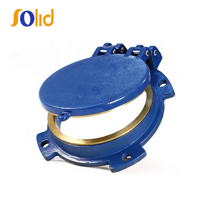 Cast Iron Brass Sealing Flap Valve Metal Flap Valves Buy Cast Iron