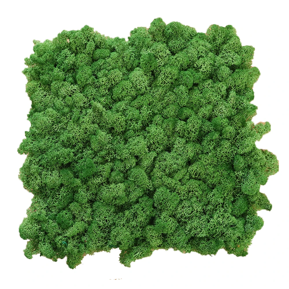 

Moss,100 Pieces, Green and the customized color