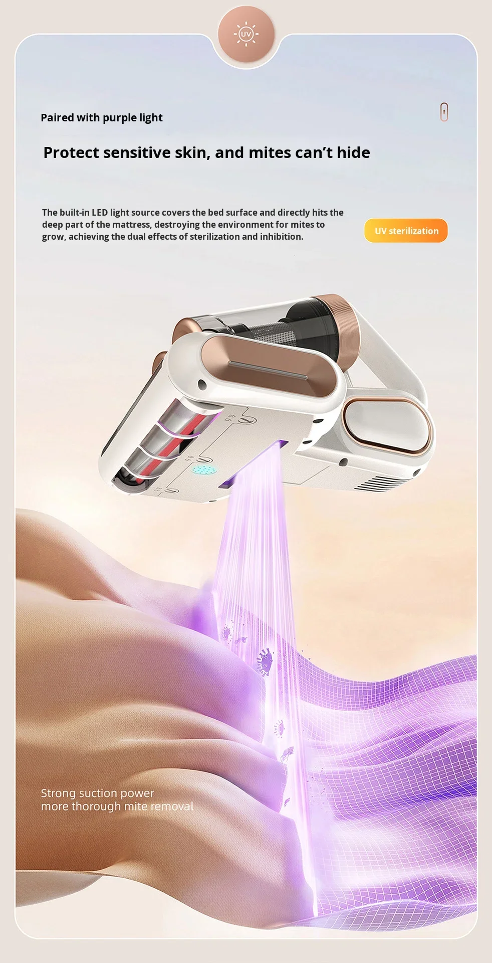 Dual dust cup roller brush