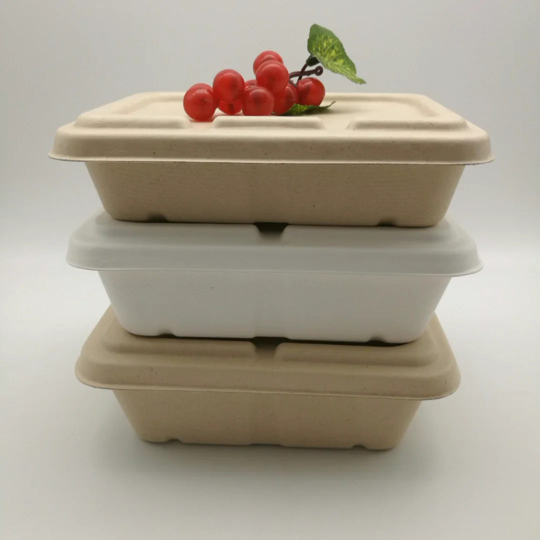Eco Friendly Biodegradable Rectangle Food Plate 5 Compartment