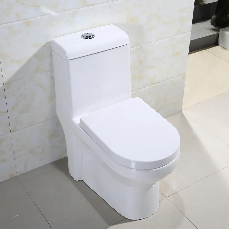 Iraq And Mid East Market Muslim Cheap One Piece Toilet With Bidet