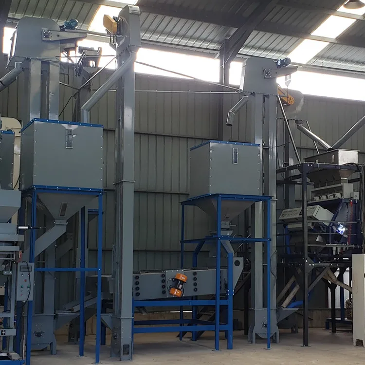 Grain Paddy Seed Bucket Elevator Buy Bucket Elevator,Grain Bucket