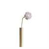 Simple modern home small fresh living room decoration brass dried flower hydroponic pure copper vase