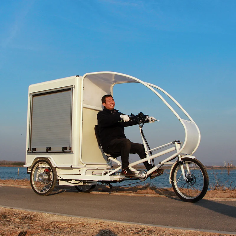 60V 1000W Popular Express Delivery Vehicle 3 Wheel Electric Tricycle for Sale