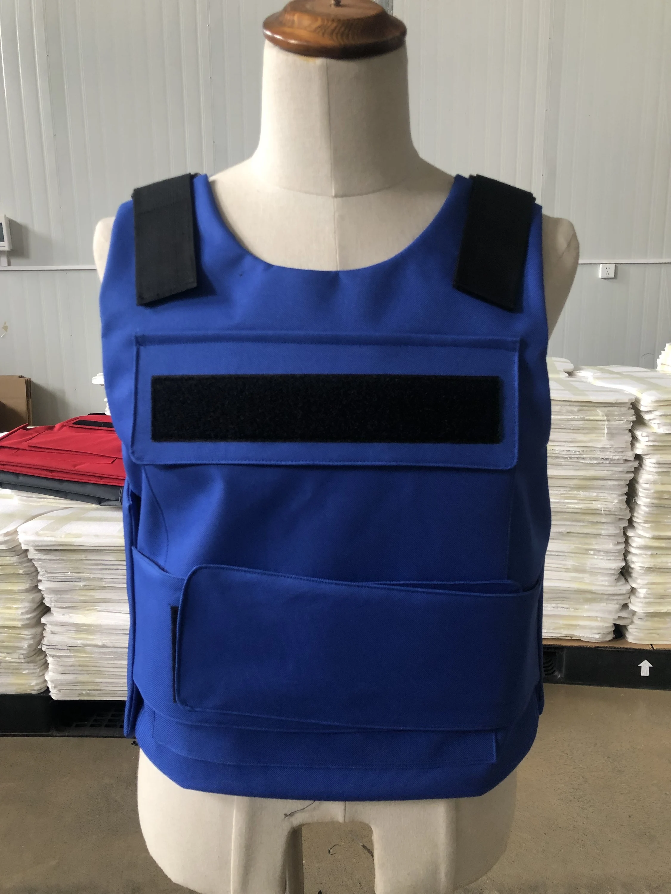 Blue Color Vest.jpg