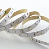 Best prices SMD5050 30eds/m 12V RBG Flexible LED Strip assignable for outdoor projects IP65/IP20/IP67/IP68