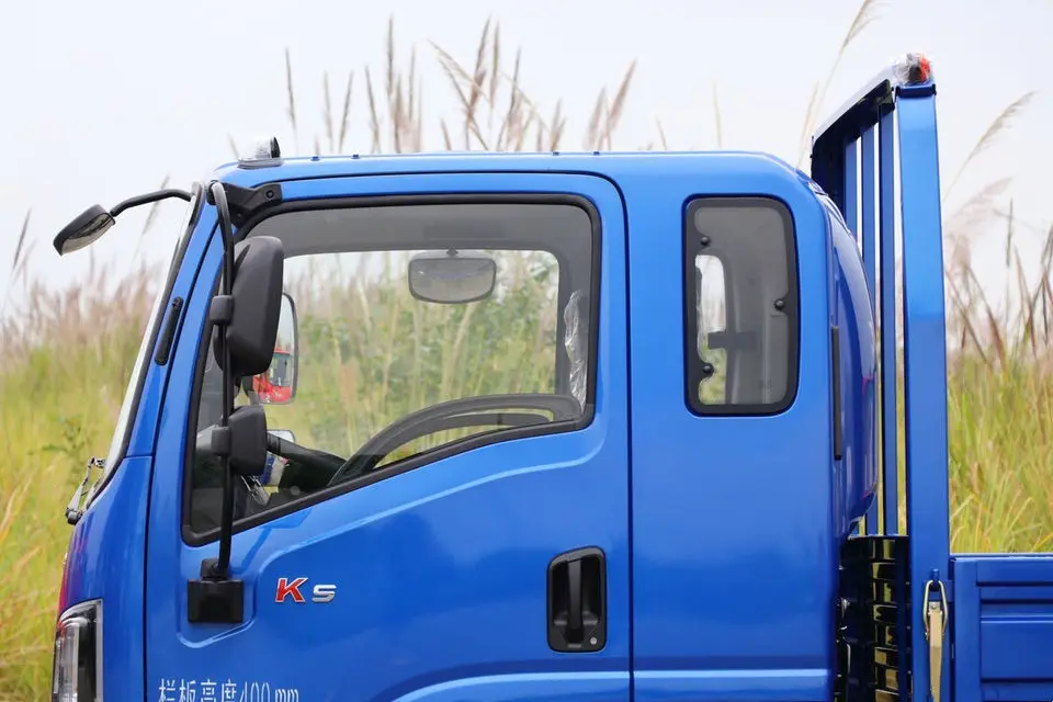 Customized 4x2 Light Cargo Truck 3 Ton Double Cabin Mini Lorry