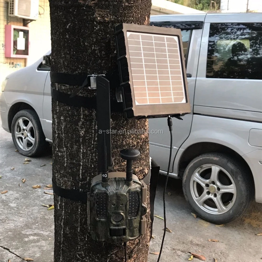 solar panel 2.jpg