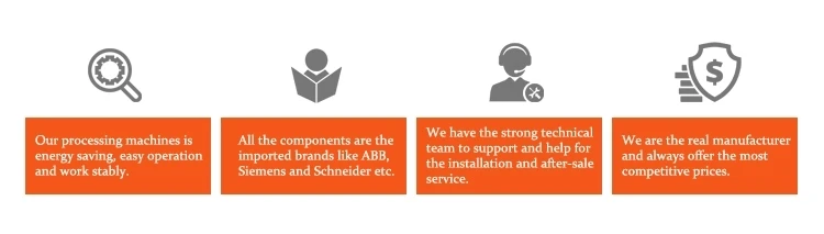 our services .webp.jpg