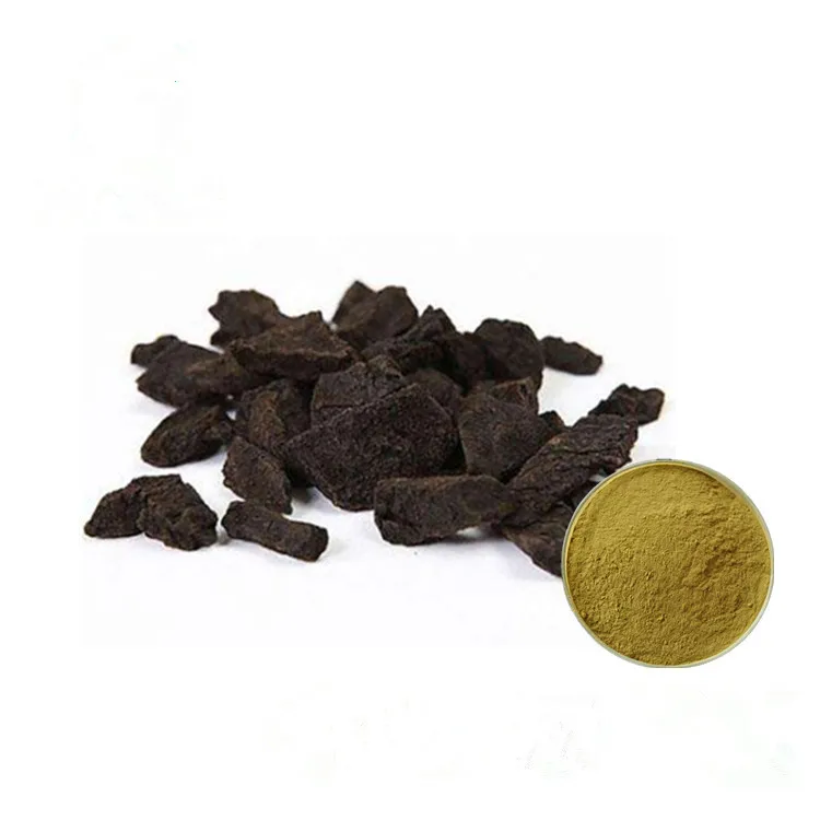 Трава горца перечного. Горец почечуйный (polygonum persicaria). Полигонум горец. Горец перечный - polygonum hydropiper. Горец перечный препараты.