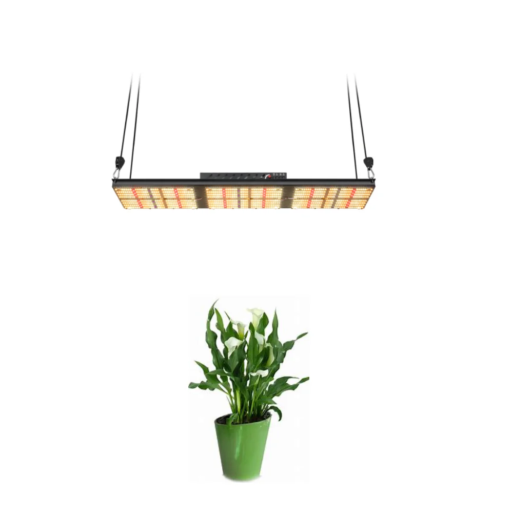 2020 Samsung LM301B LED Pro Version Dimming Capabilities Tighter Internodal Spacing Board 320Watt Quantum Grow Light For Garden