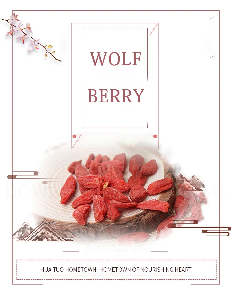 High Quality 100% Pure Natural Fresh Dried Organic Chinese Gouqi Berry Organic/ Lycium / Wolfberry