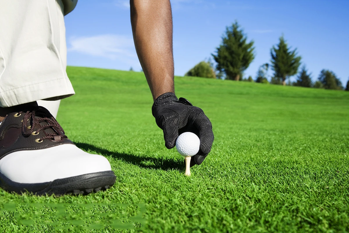 Golf Glove Men Left Handed Golfers Genuine Leather Golfing Gloves