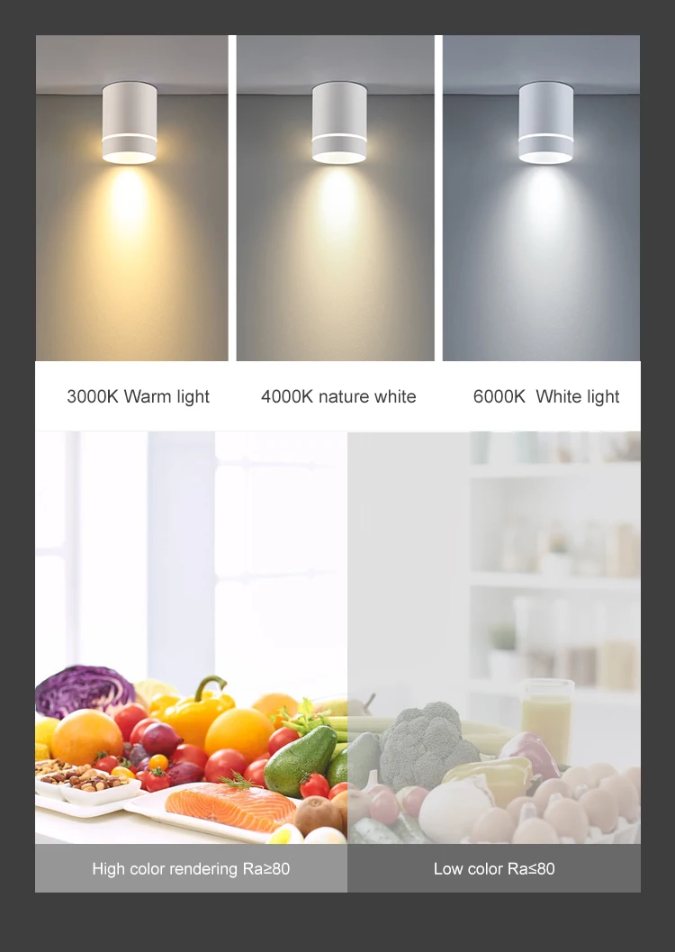 2021 Eurpoean design 5W SMD interior cylindricity aluminum home simple black white led down light
