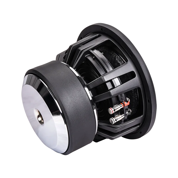 Direct Manufacturer New Style Pro 1500w Car Audio 12v 10 Inch Car