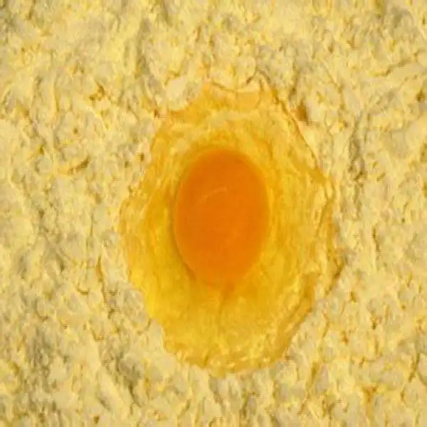 Healty and best quality Egg yolk powder for baked food