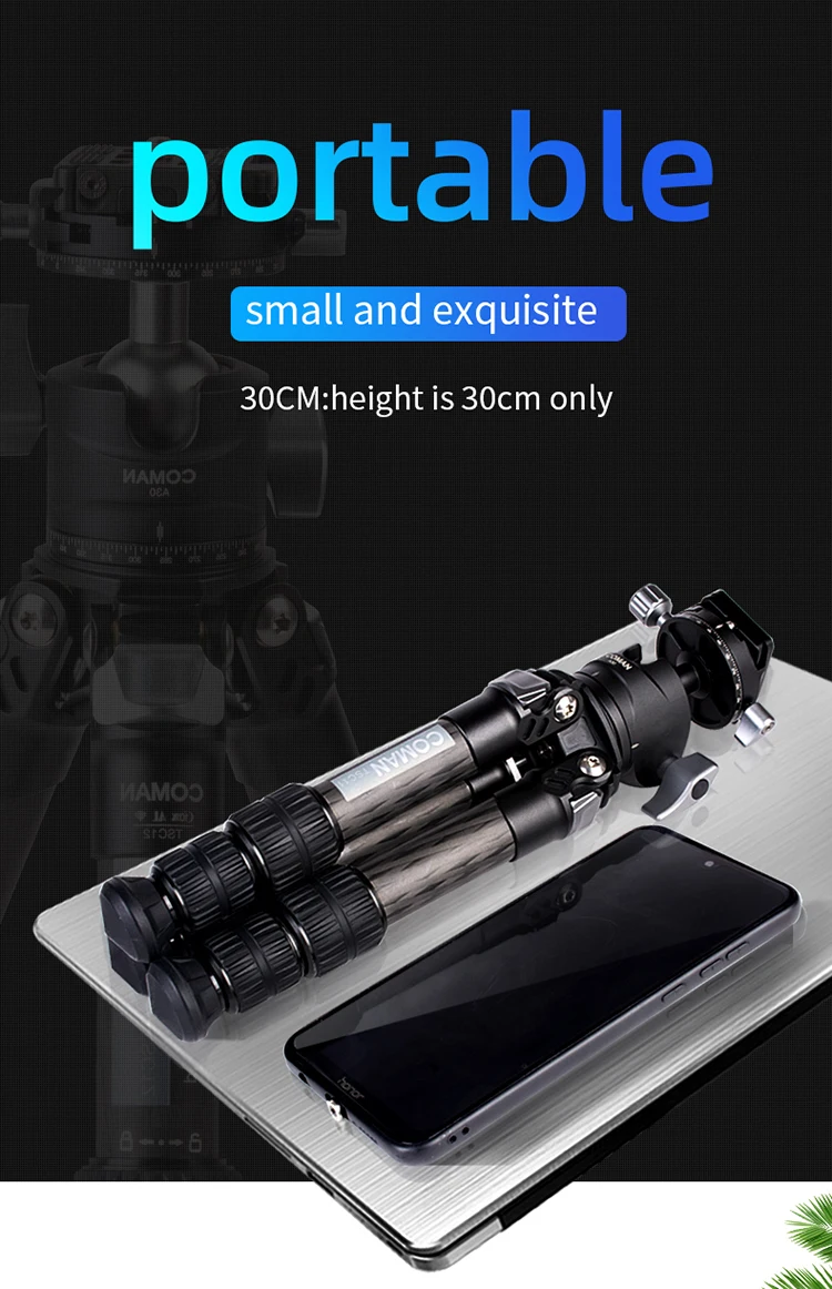 TSC12A30_01.jpg
