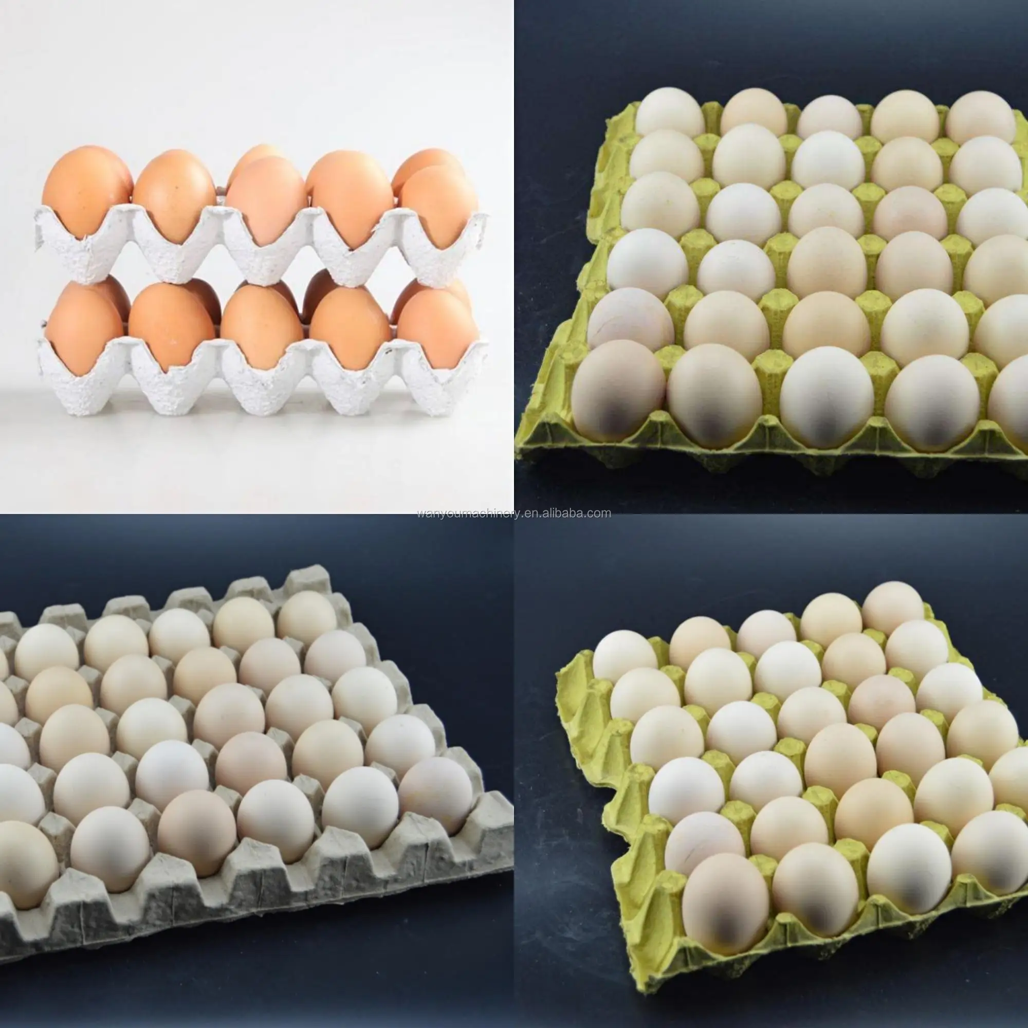 Tipo rotatorio 6000 macchina imballatrice del grande di capacità di produzione vassoio dell'uovo