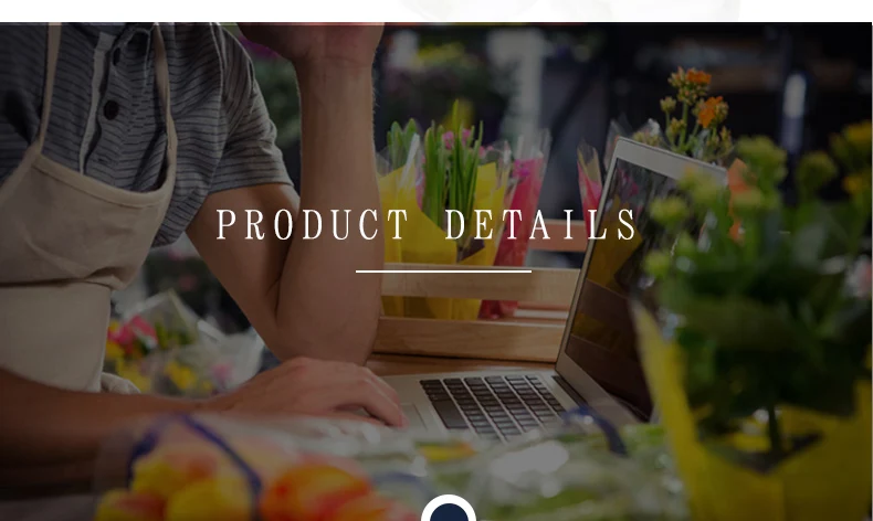 30cm Garden Arch (4).jpg