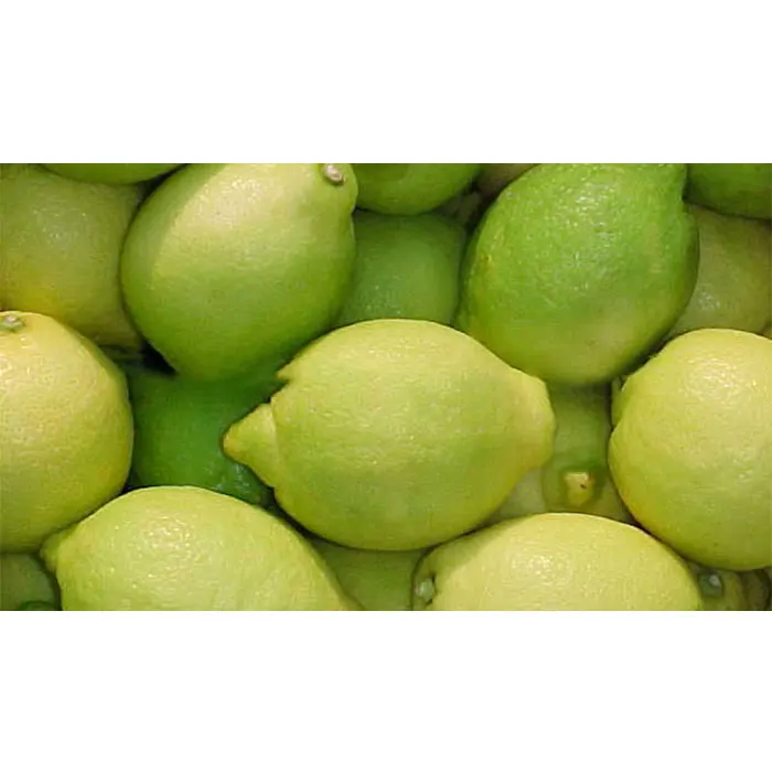 
hot selling high quality fresh yellow lemon for sale from South Africa 