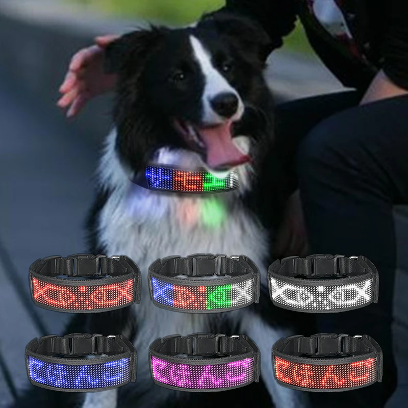 Usb Rechargeable With Water Resistant Flashing Light Collar Pet App