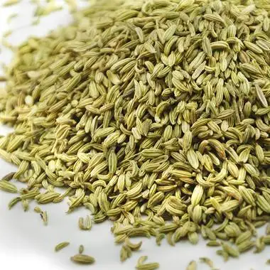 best price of 99% gansu quality spices herbs fennel seed