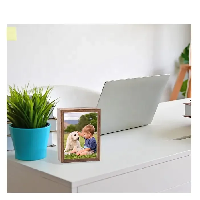 Hidden Secret Compartment Photo Picture Frame Diversion Safe Buy New