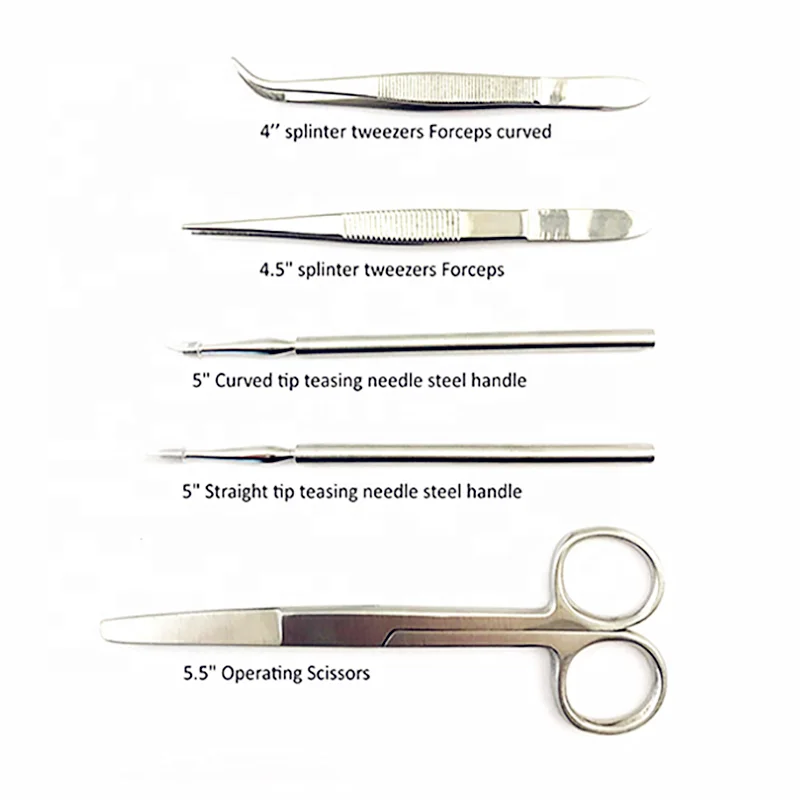 22 Pcs Biological Anatomical Tools Stainless Steel Anatomical Scissors