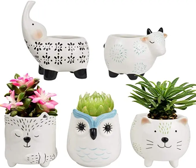 Handpainted Cute Design Cheap Mini Ceramic Animal Flower Pot For Cactus Succulent Buy Ceramic
