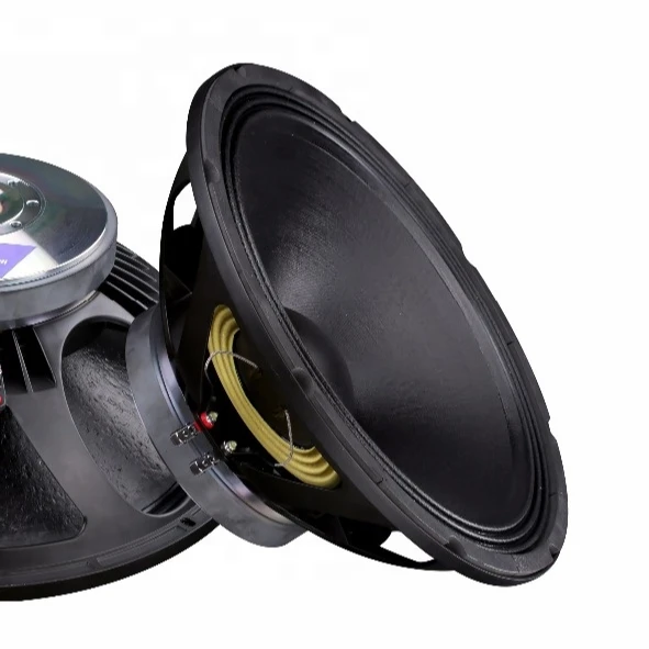 p audio speaker 18 inch