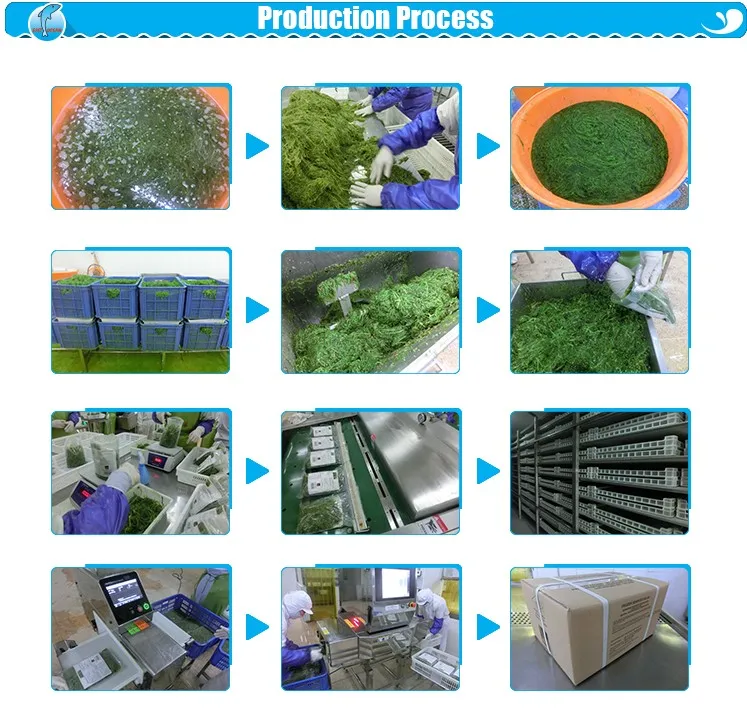 New arrival japan frozen seasoned laver korean seaweed salad