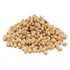 Blanched Pine Nuts. / Cheap Pine Nuts Prices/Chinese Pinenut Kernel