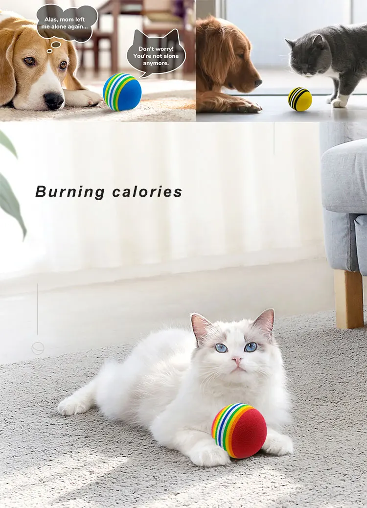 cat-ball--_10.jpg