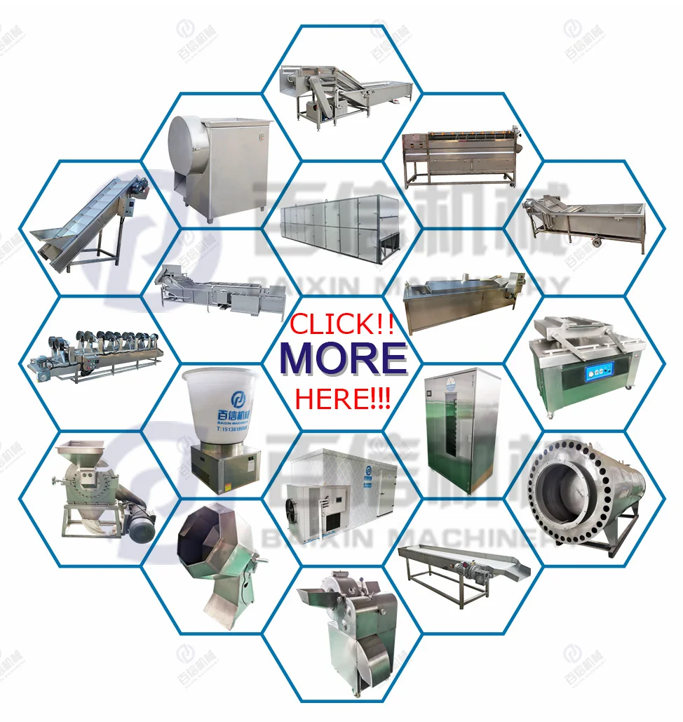 stainless steel meat washer mini carrot washing machine